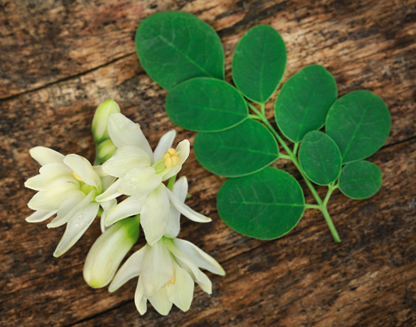 Moringa & Safflower Moisturiser